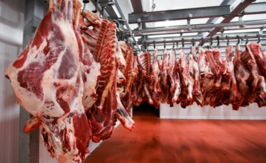 Министрлік ет нарығындағы жағдайға байланысты жедел желіні іске қосты