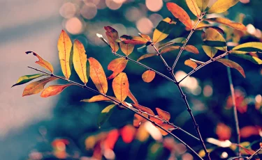 Погода в Казахстане на 25 сентября: тепло на юге, ветер на севере и востоке