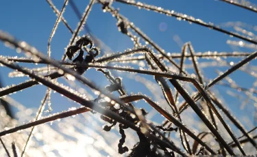 Прогноз погоды на 30 сентября: в центре и на севере Казахстана ожидаются заморозки и снег