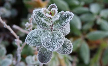 Штормовое предупреждение из-за заморозков и осадков объявили в 10 областях Казахстана