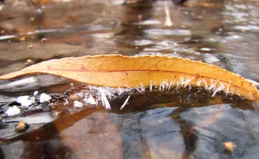 Казахстан накроют заморозки и сильный ветер