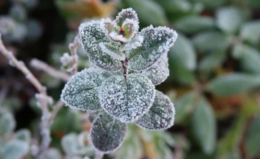 Прогноз погоды на 7 октября: в Казахстане ожидаются заморозки