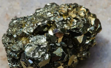 Сотрудник «Правительство для граждан» замешан в организации незаконной золотодобычи в ВКО