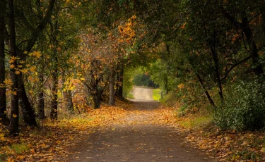 Погода в Казахстане на 9 октября: тепло и без осадков