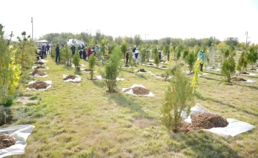 В Туркестанской области прошел масштабный субботник в рамках программы «Таза Қазақстан»