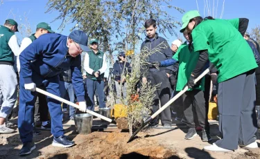 Алматинская область очистила 1243 гектара территорий в рамках акции «Таза Қазақстан»