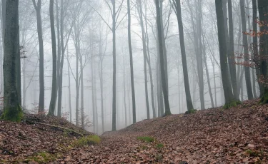 На севере Казахстана существенно похолодает 13 октября