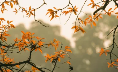 Ночные заморозки и тёплая погода на юге: прогноз погоды на 16 октября в Казахстане