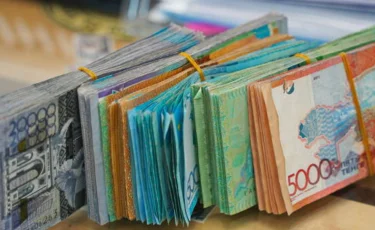 Депутат бюджет қаражатына бірнеше пәтер мен көлік сатып алған