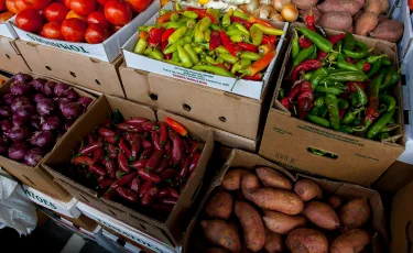 Стабилизация цен обернулась хаосом: миллиарды тенге ушли впустую