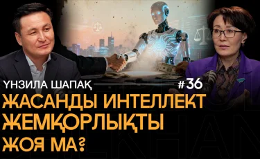 «Жасанды интеллект туралы» заң бізді қалай қорғайды: ЖИ қатесі үшін кім сотқа тартылады?