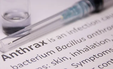 Түркістан облысында сібір жарасы тіркелді