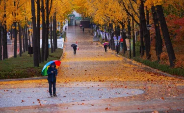 Снег, дождь и метель: 3 ноября в Казахстане ожидается непогода