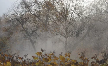 Штормовое предупреждение объявили в ряде регионов Казахстана 4 ноября