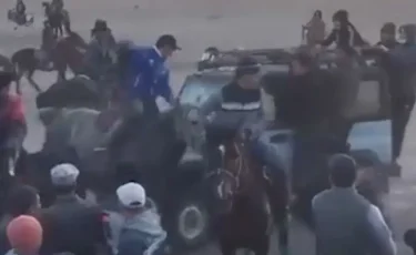 Қызылорда облысында көкпаршыларды қаққан жүргізушіге қылмыстық іс қозғалды