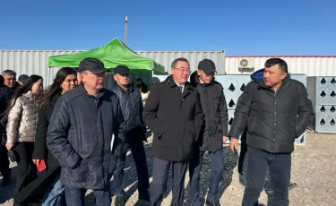 Алматы облысы Еңбекшіқазақ ауданында жаңа зауыттар мен инженерлік желілер құрылысы аяқталуға жақын