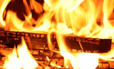 В Жетысае при пожаре в жилом доме погибли 12 человек, включая 9 детей