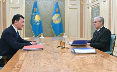 Президентке парламенттік реформаның аралық нәтижелері баяндалды