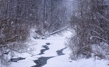 Метель и гололед: где в Казахстане объявлено штормовое предупреждение