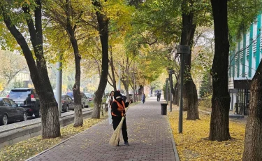 «Таза Қазақстан»: Алматыда биыл 5 жарым мыңнан аса адам айыппұл арқалады