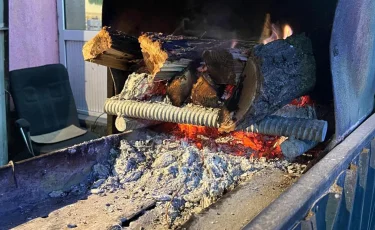 Алматыда қатты отын қолданатын кәуапханаларға бақылау күшейтілді