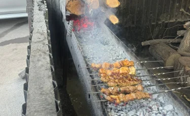 Экологиялық бақылау: Алматыдағы кәуапханалардан заң бұзушылық анықталды