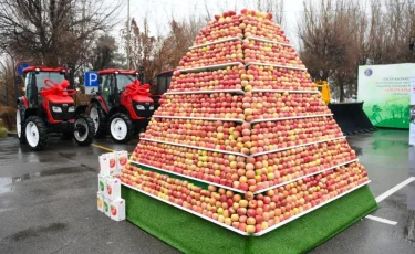 Алматы облысы ауыл шаруашылығындағы жылдық жетістіктерін көрсетті