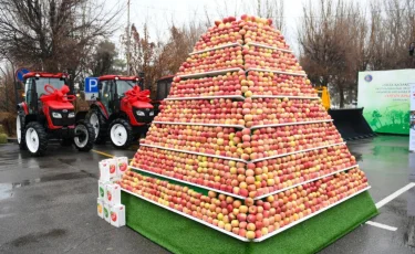 Алматинская область представила годовые достижения в сельском хозяйстве