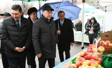 Рекордные урожаи и инвестиции: агросектор Алматинской области в цифрах 2025 года