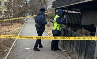 Кентауда жаңа туған сәбидің денесі табылды