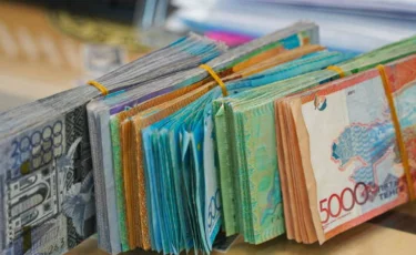 Зейнетақы жинағын пластикалық операцияға жұмсауға ресми түрде шектеу қойылды