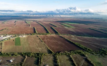 В Жетісу вовлечено в оборот более 700 тыс. гектаров неиспользуемых сельхозземель