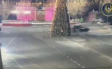 Түркістан облысында жигулимен шыршаны құлатып кеткен жүргізуші ақыры ұсталды