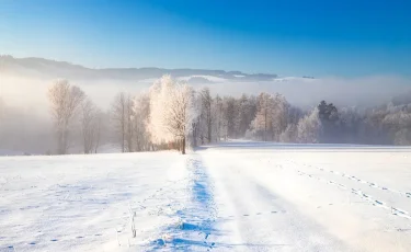 Штормовое предупреждение объявлено в ряде регионов Казахстана в канун Нового года