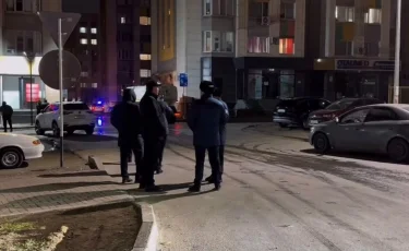 Шымкентте 21 жастағы қызды пышақтап, өлтіріп кетті