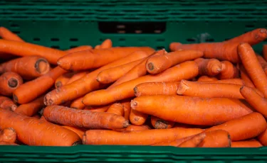 Почему при полных складах запрещают экспорт? Депутат задал неудобные вопросы правительству