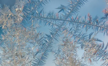 Сильные морозы до 42 градусов ожидаются в ряде регионов Казахстана