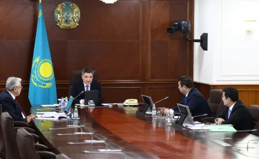 Үкімет Мал шаруашылығын дамытудың 2026-2030 жылдарға арналған кешенді жоспарының жобасын мақұлдады