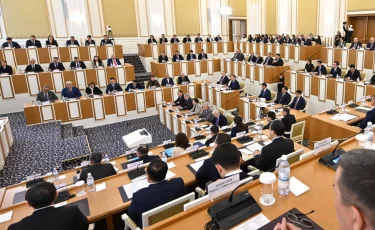 Вице-президентке қойылатын талаптардың үлгісі жарияланды