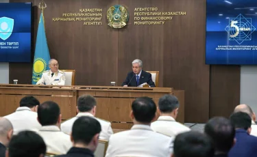 Тоқаев қаржы пирамидаларының қатысушыларын жазалауды ұсынды