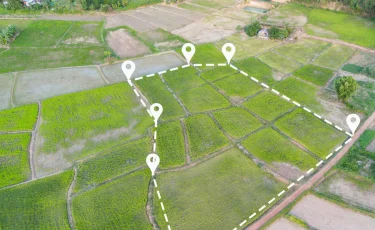 Земли в Алматинской области раздавали по поддельным документам акимов