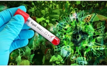Нипах вирусы: ДДҰ қауіпті вирустан сақтану жолдарын айтты