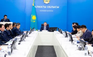 Алматы облысында пайдаланылмай жатқан 1,26 млн гектар жер анықталды