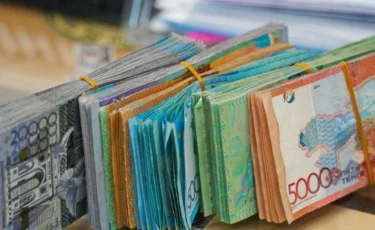 Елімізде Кенесары есімді сәбиге 400 мың теңгеден беріледі