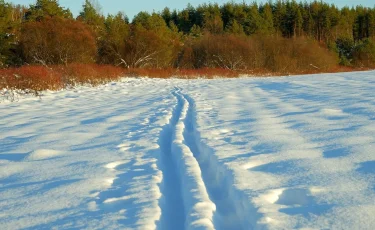 Казахстанцев предупредили о непогоде в ряде регионов страны