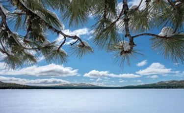 Погода на 19 февраля: штормовой ветер на юге, снег и дождь на востоке Казахстана