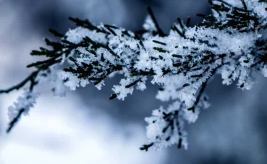 Сильные морозы и метели ожидаются в Казахстане 25 февраля