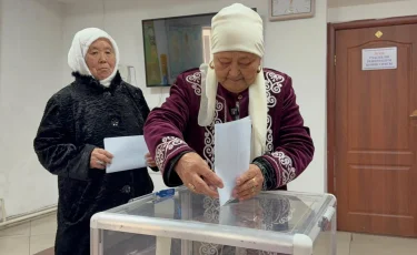 Жетісу облысы Панфилов ауданында Еңбек Ері мен олимпиада жүлдегерінің анасы таңдау жасады