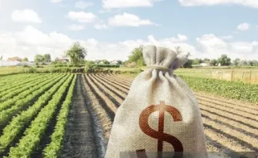 Агросубсидии на 3 млрд тенге похищены: в Костанае вынесли жёсткий приговор