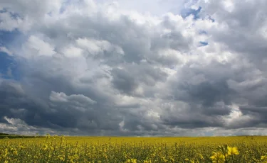 Казахстан ждёт погодная турбулентность: грозы и до +32 градусов